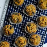 Grain free coconut flour blueberry muffins