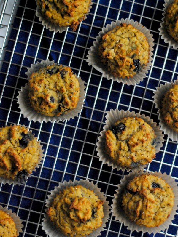 Coconut Flour Blueberry Muffins