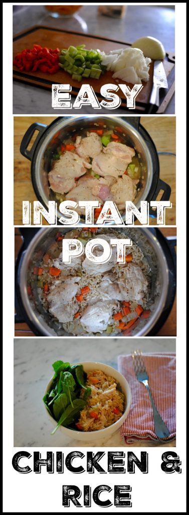 simple instant pot chicken recipes