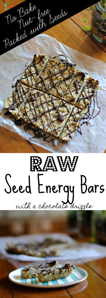 raw seed energy bars for pinterest
