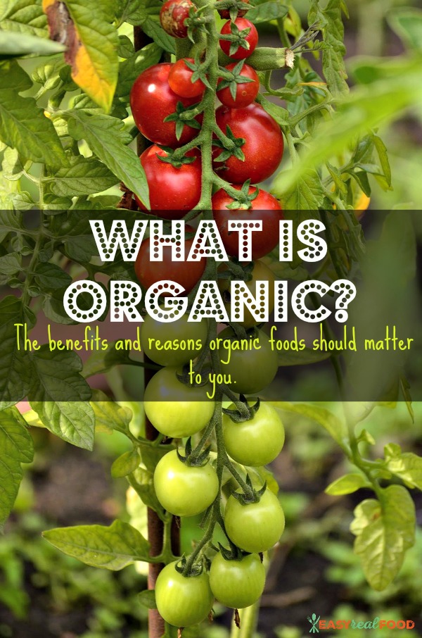 what is organic? And is it worth paying for?