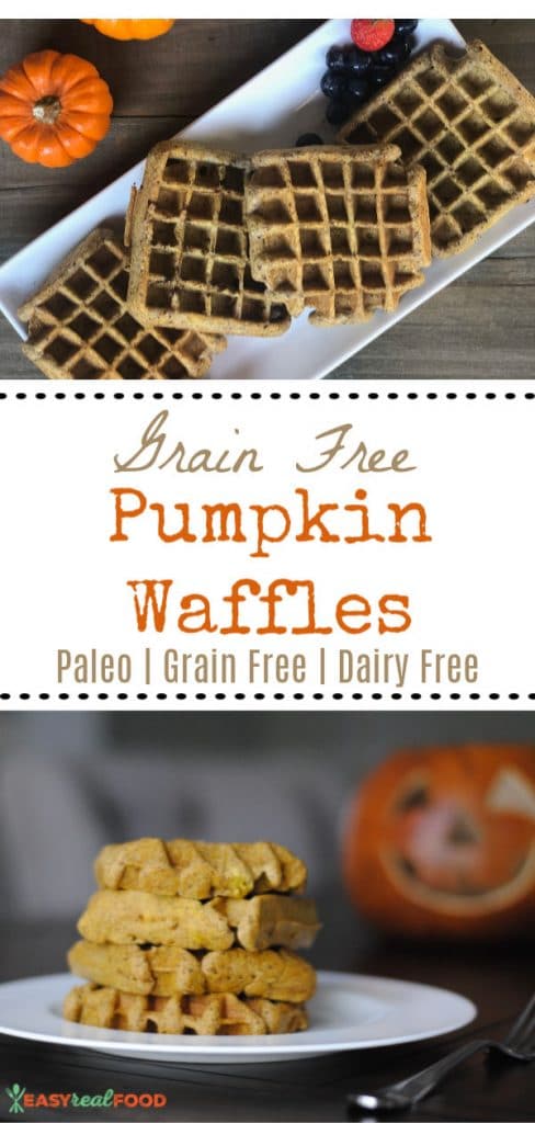 Paleo fluffy grain free pumpkin waffles. Quick, easy and made with all real food.