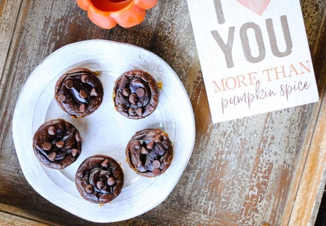 pumpkin flourless blender muffins