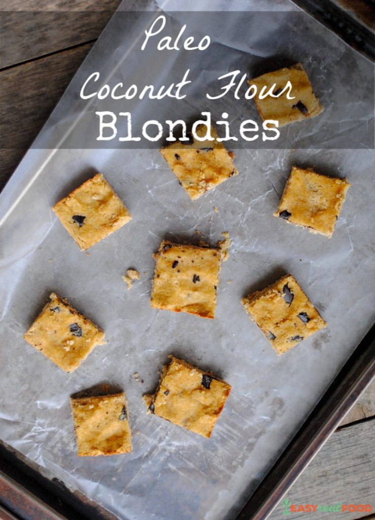 Paleo coconut flour blondies. A paleo dessert recipe.