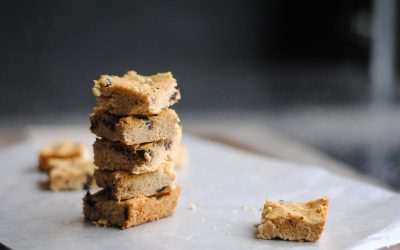 Paleo Coconut Flour Blondies