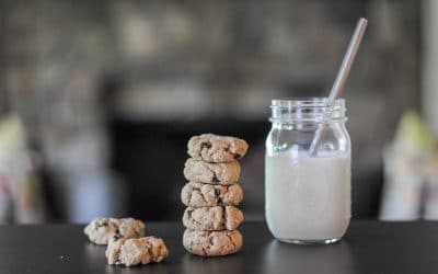 Salted Chocolate Chip Tahini Cookies (Vegan, Nut-free, Grain-free)