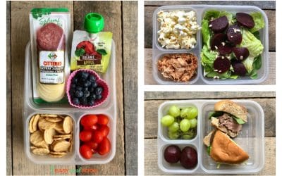 60 Healthy Trader Joe’s Foods for Kids Lunchboxes