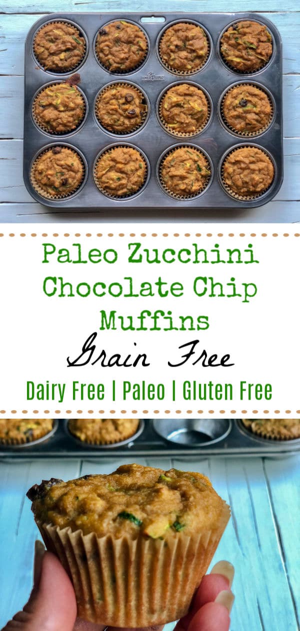 Healthy Paleo Zucchini Chocolate Chip Muffins - Grain Free, Dairy Free and Paleo