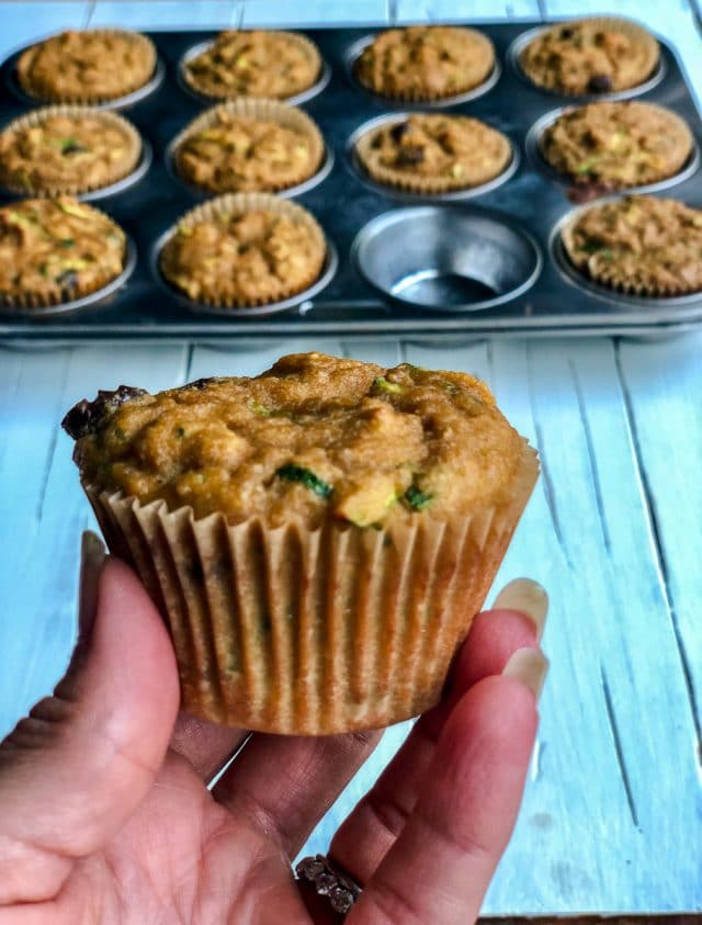 Easy healthy paleo zucchini chocolate chip muffins made with coconut flour. #paleobaking #coconutflourrecipe