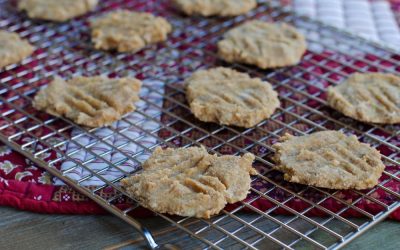 3 Ingredient Cookies (Paleo + Egg Free)