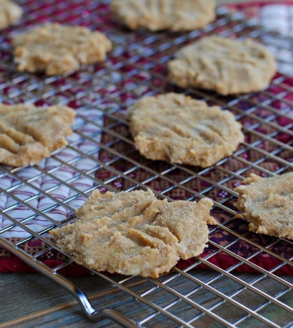 3 ingredient healthy cookies. Sugar free and grain free.