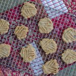 3 ingredient paleo cookies