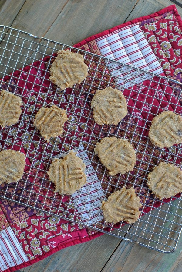 3 ingredient banana cookies (paleo)