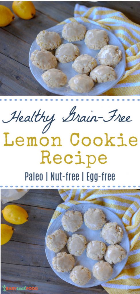 Healthy paleo lemon cookie recipe - nut-free and vegan