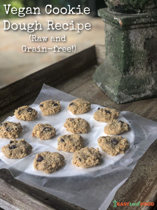 Vegan Cookie Dough Recipe (Raw and Grain-free!)