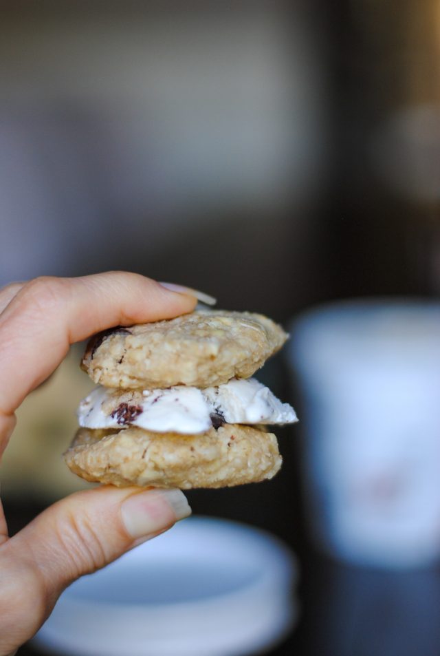 vegan raw gluten free chocolate chip cookie dough ice cream sandwich