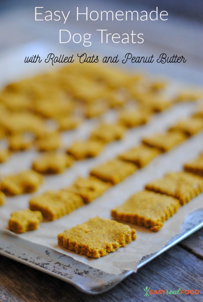 easy-homemade-dog-treats-with-rolled-oats-and-peanut-butter-easy-real