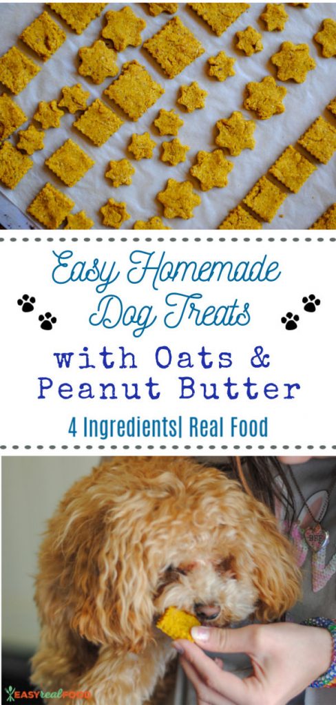 peanut-butter-oatmeal-banana-dog-treats-the-cozy-cook