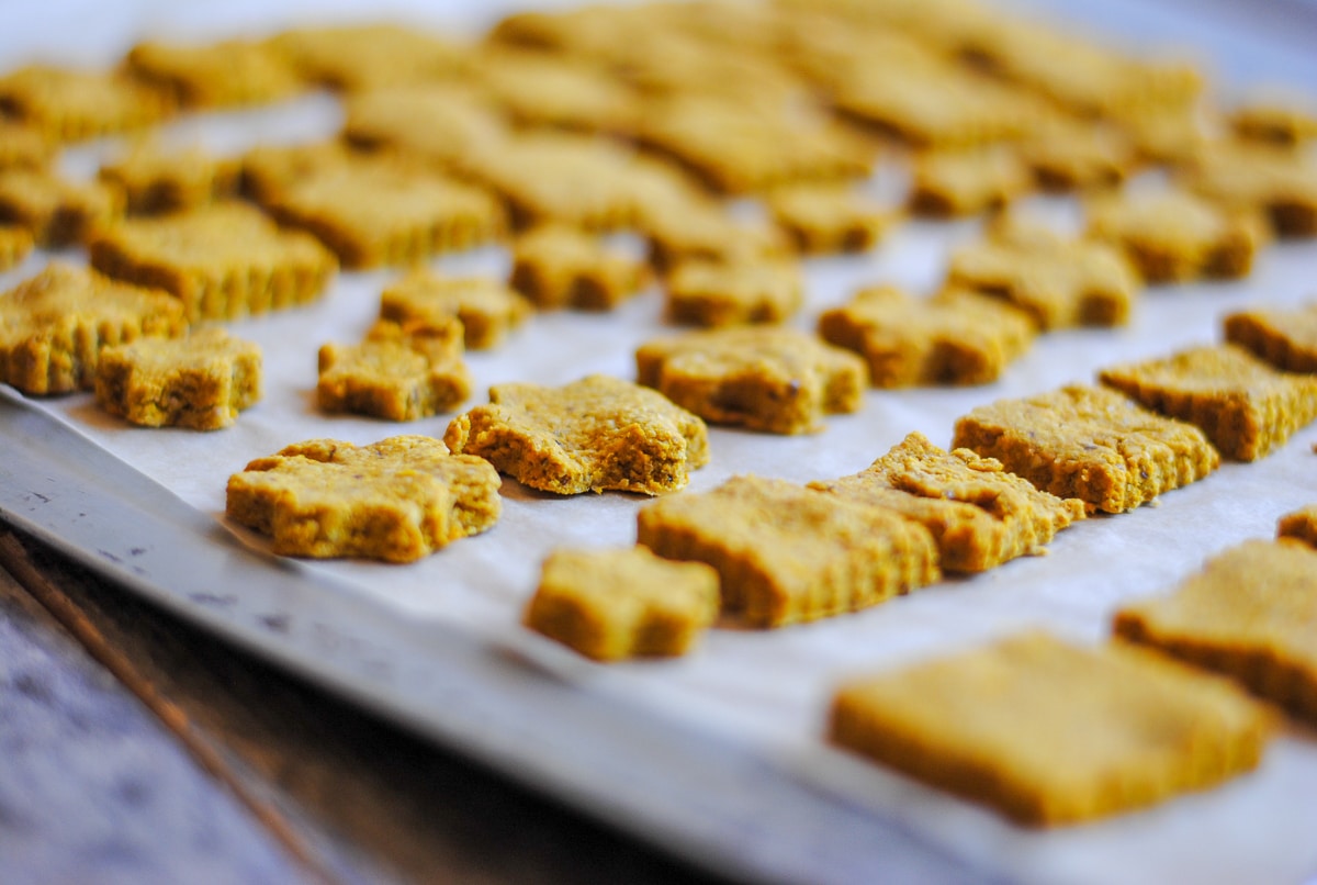 easy homemade dog treats with oats