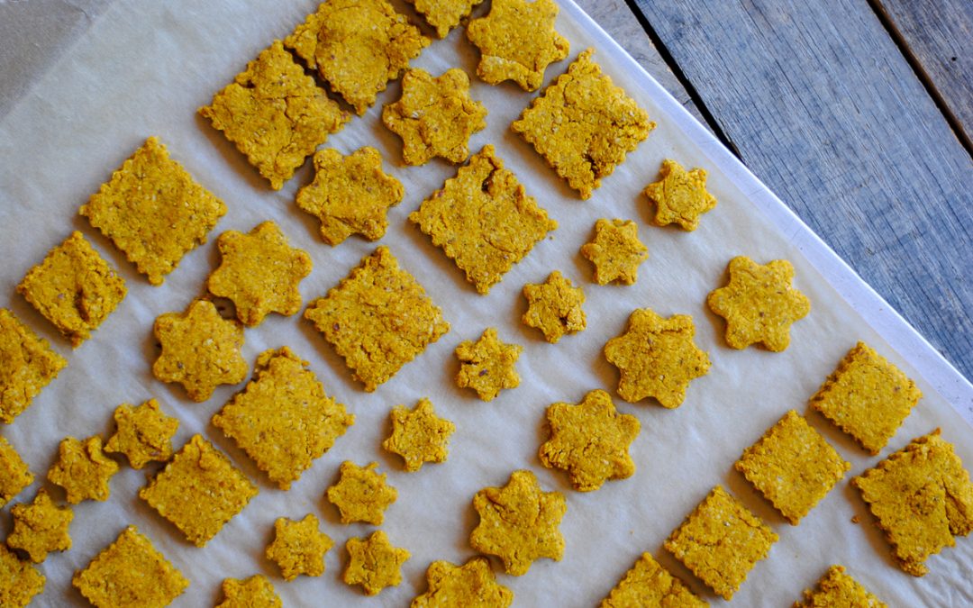 Easy Homemade Dog Treats with Rolled Oats and Peanut Butter