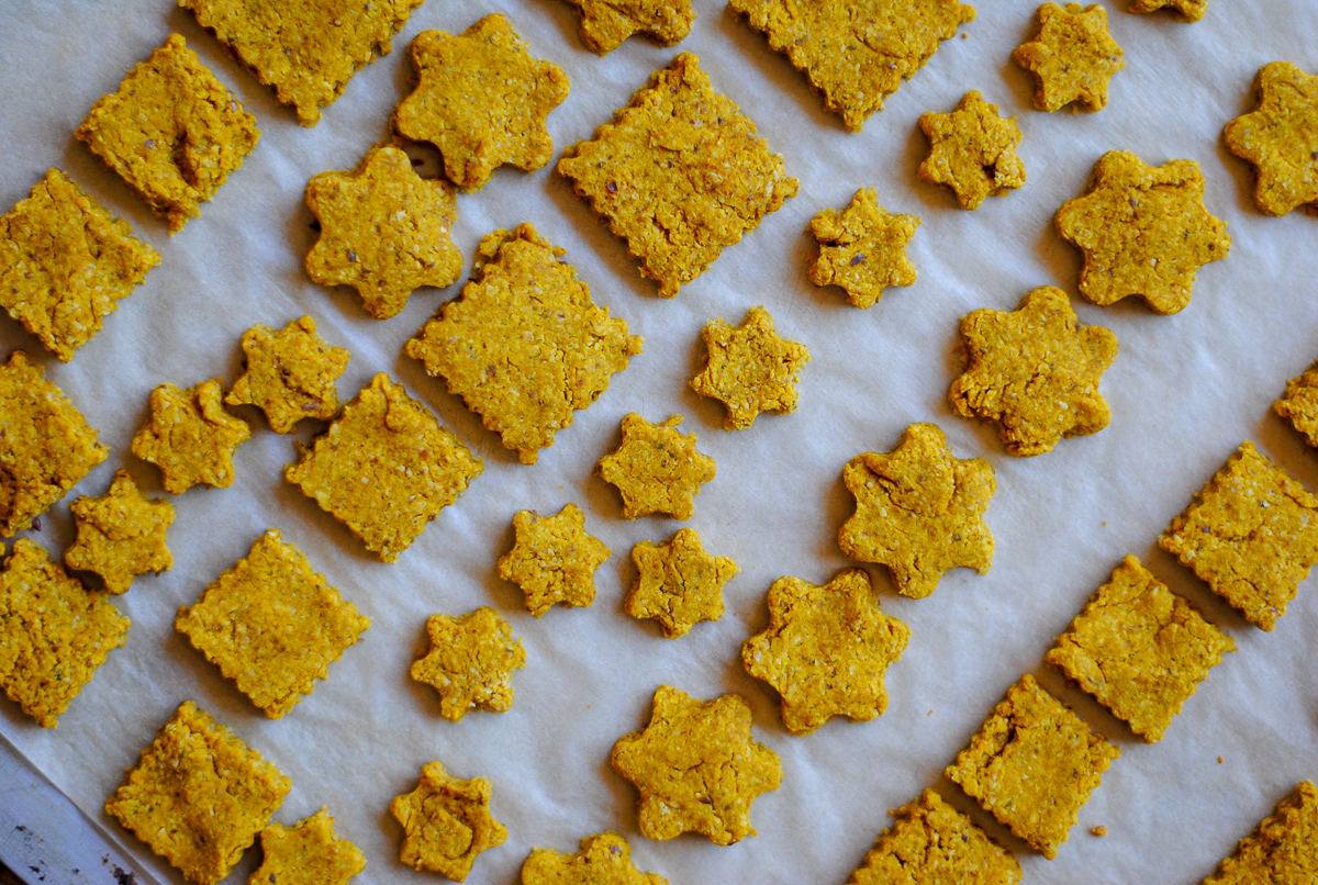 homemade dog treats with pumpkin, oats and peanut butter