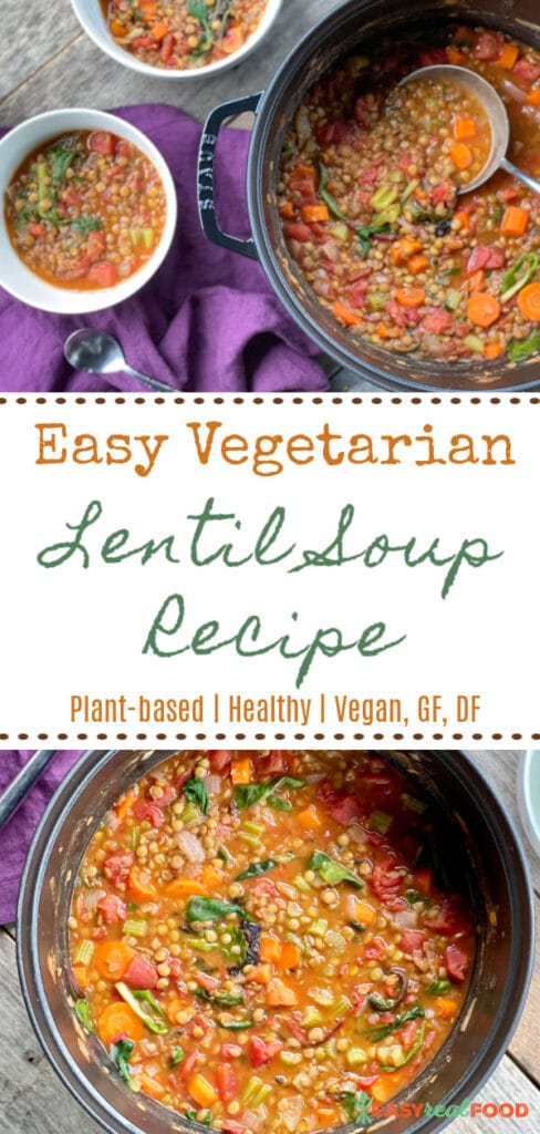 Easy Vegetarian Lentil Soup REcipe - plant-based, healthy, vegan