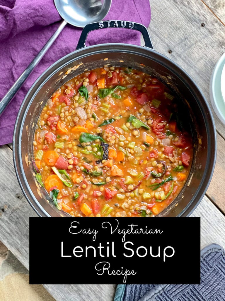 Easy vegetarian lentil soup recipe