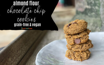 Almond Flour Chocolate Chip Cookies (Grain-free)