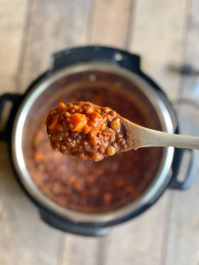 spoonful of lentil sloppy joes