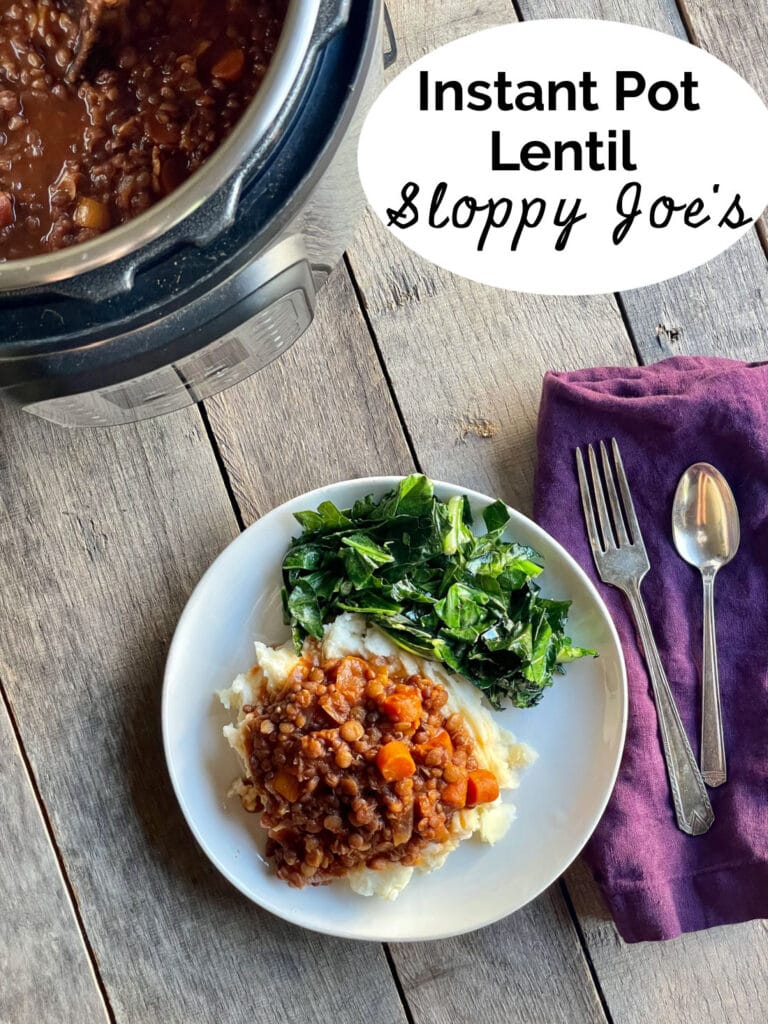 IP lentil sloppy joes